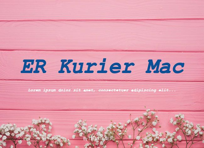 ER Kurier Mac example